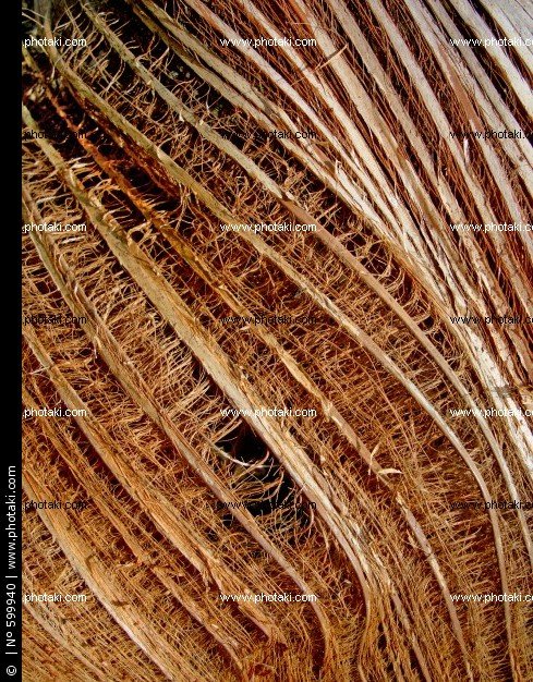 有机纤维的介绍