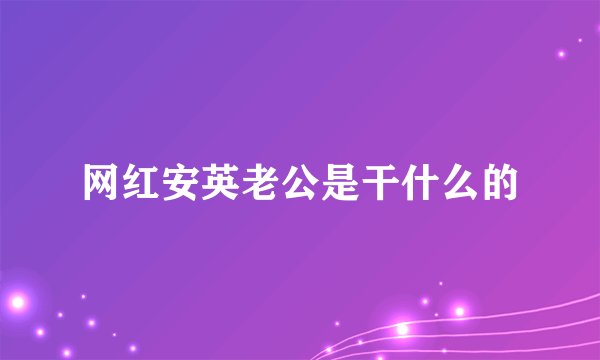 网红安英老公是干什么的