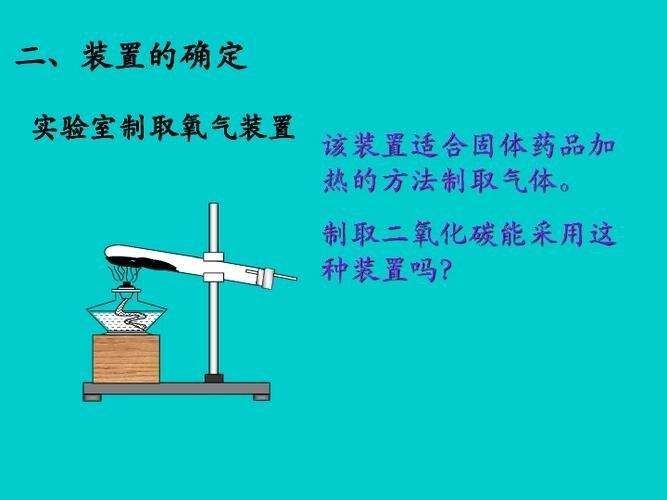二氧化碳的实验室制取与性质