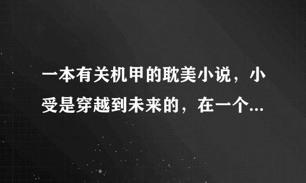 一本有关机甲的耽美小说，小受是穿越到未来的，在一个商场里买到了小攻，是把小攻当家用机器人的，