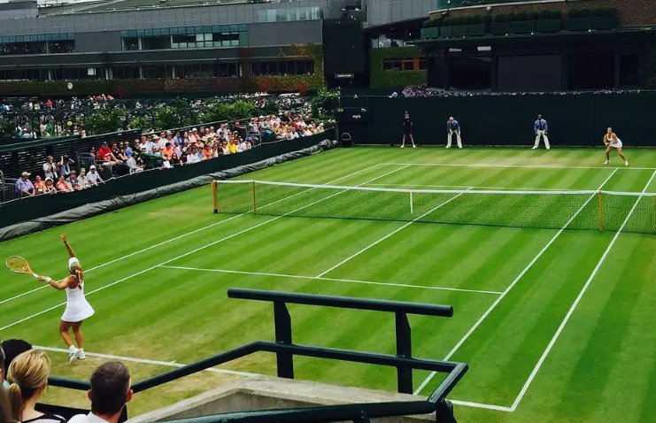 2023温网公开赛时间表