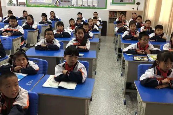 点面结合的句子有哪些