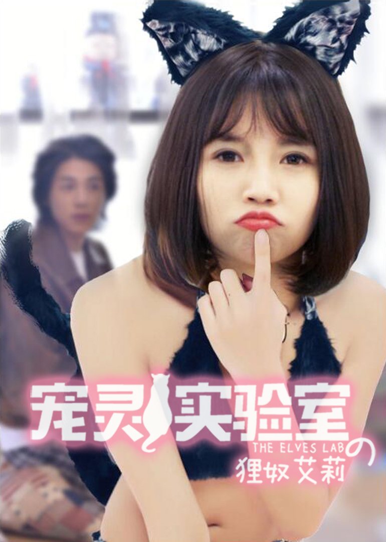 宠灵实验室之狸奴艾莉的基本信息