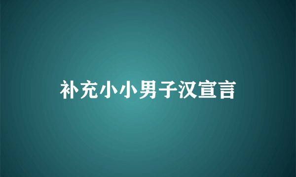 补充小小男子汉宣言