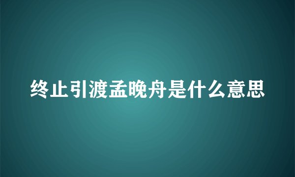 终止引渡孟晚舟是什么意思
