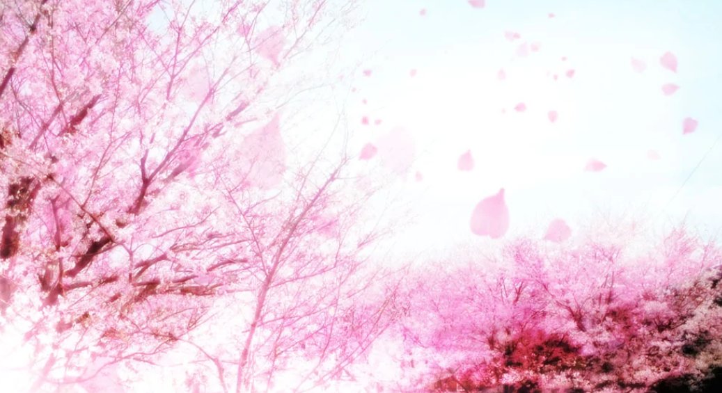 《樱花赞》是谁的作品?