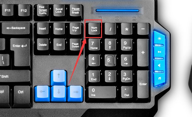 NUM是什么意思？