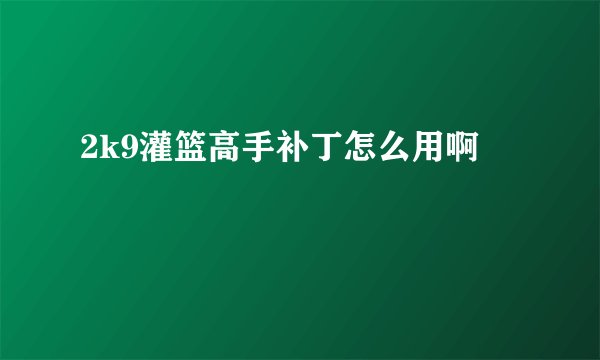 2k9灌篮高手补丁怎么用啊