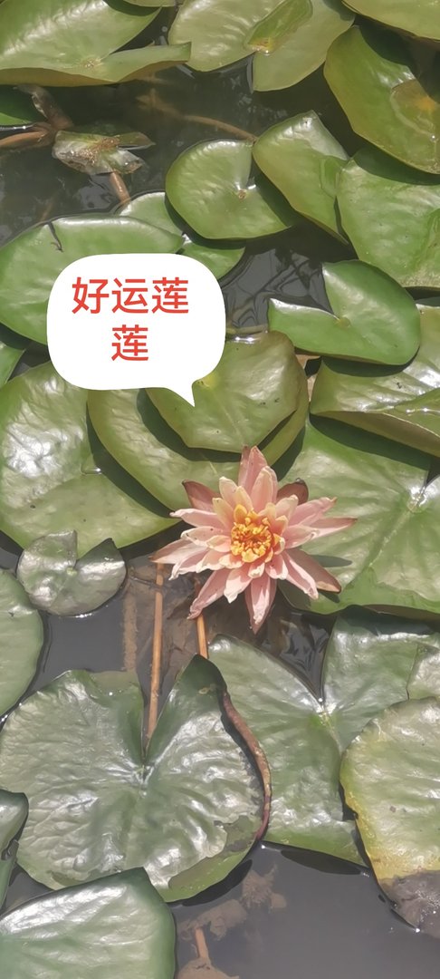 20051228多少岁？