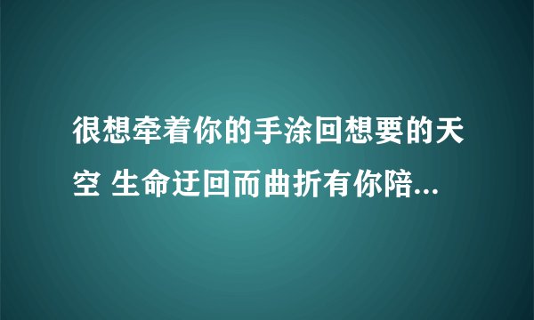 很想牵着你的手涂回想要的天空 生命迂回而曲折有你陪就能看懂 这句歌词是哪首歌里的