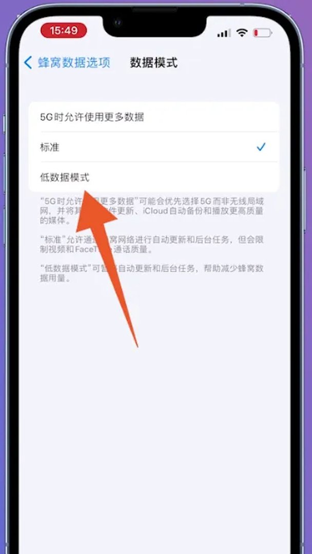 苹果怎么限制流量的使用呢？
