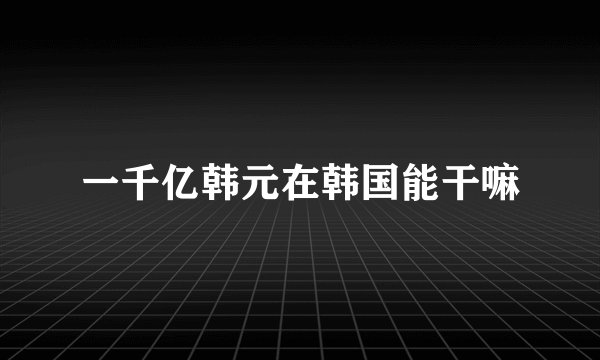 一千亿韩元在韩国能干嘛