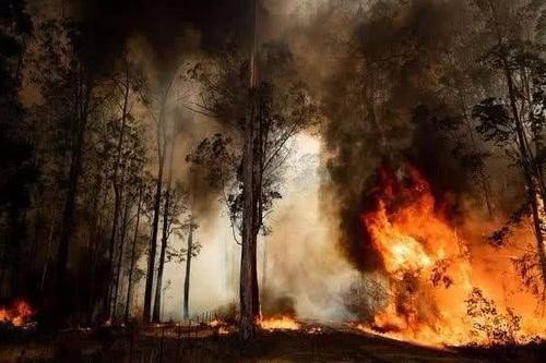 除了爱因斯坦算出末日之外还有哪些科学界不敢公布的真相？