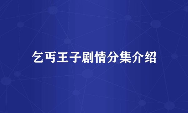 乞丐王子剧情分集介绍