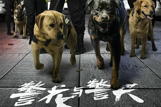 警花与警犬分集剧情介绍