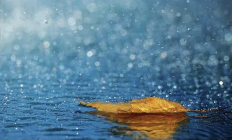 女生说嗯啊是什么意思呢？