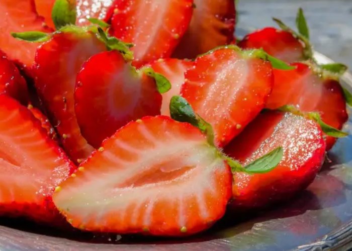 华南地区最大的草莓种苗繁育基地在哪里？繁育草莓种苗需要哪些技术？