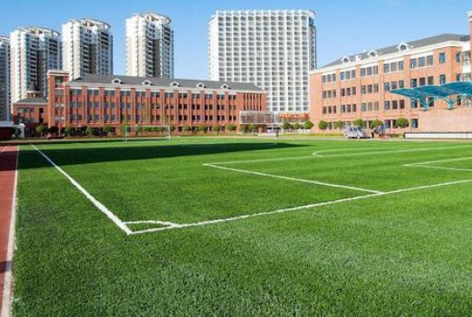 烟台职业学院怎么样啊？好不好？