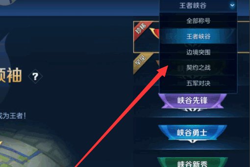 王者局内称号在哪里设置?