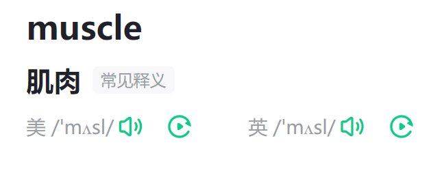 muscle怎么读