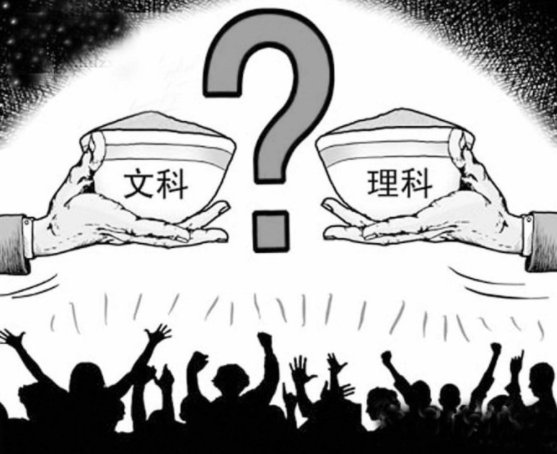 高中选大文是什么意思