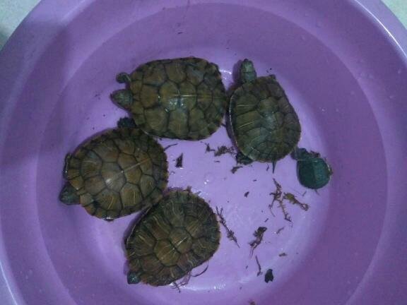 女生跟你闹矛盾之后,过了一些时日,她依旧不能原谅我,应该怎么办?