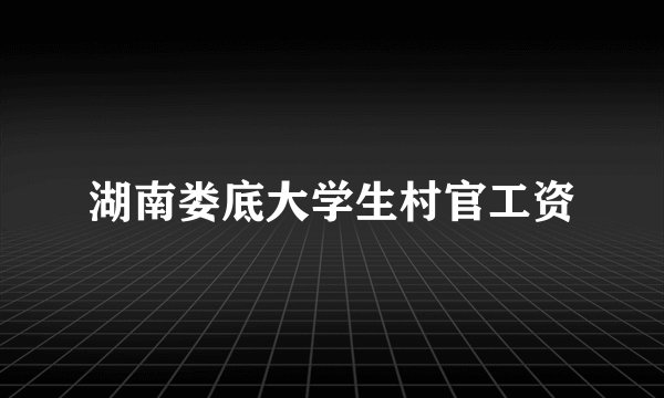 湖南娄底大学生村官工资