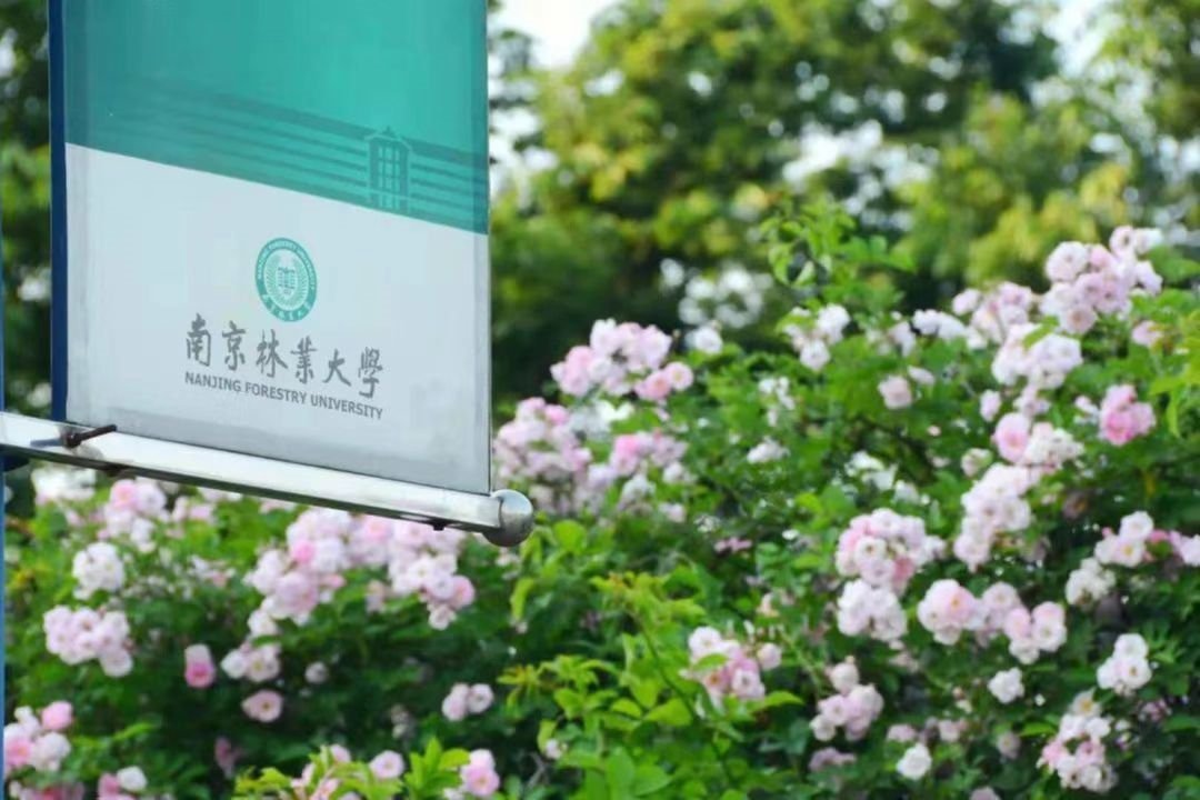 njfu是哪个大学