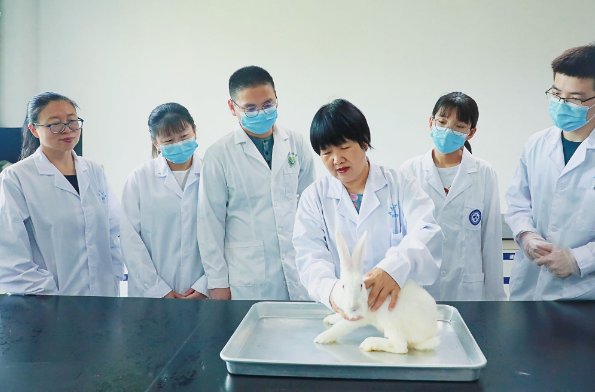 什么是兽医药理学