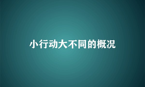 小行动大不同的概况