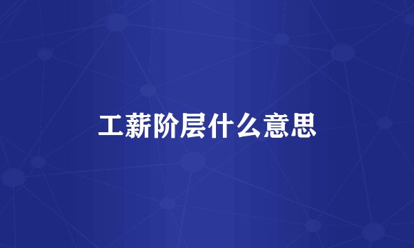 工薪阶层什么意思