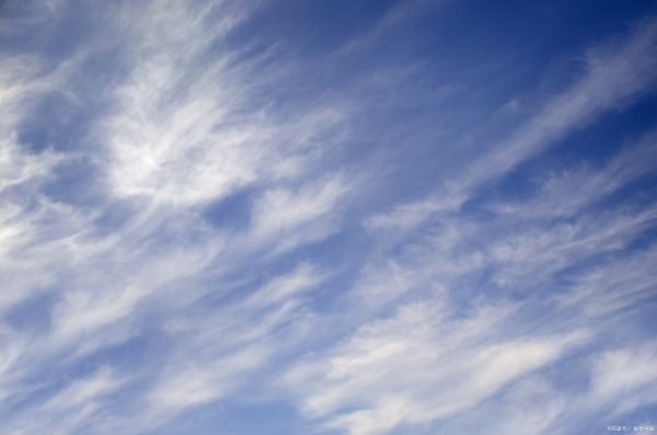 营业执照怎么在网上注册