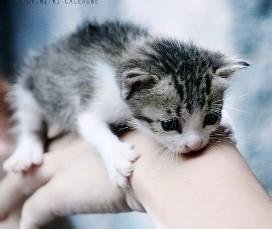 爱看天的主要作品