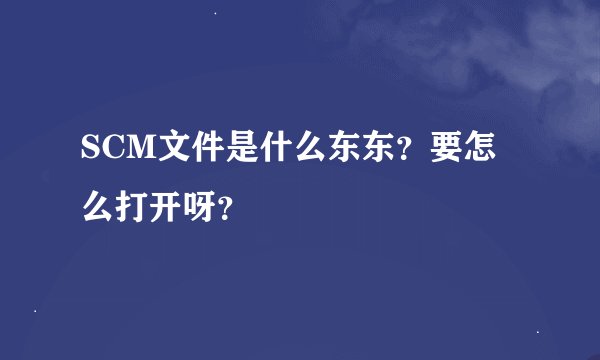 SCM文件是什么东东？要怎么打开呀？