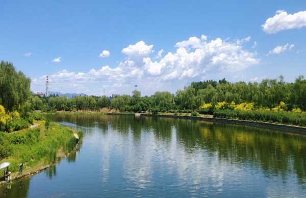 清清可以组什么词啊？