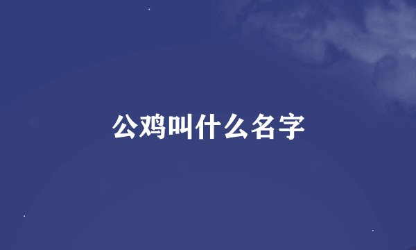 公鸡叫什么名字