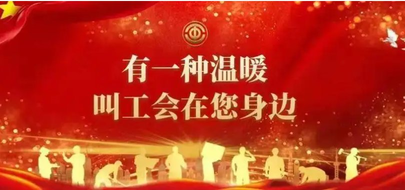 工会是职工()的工人阶级的群众组织