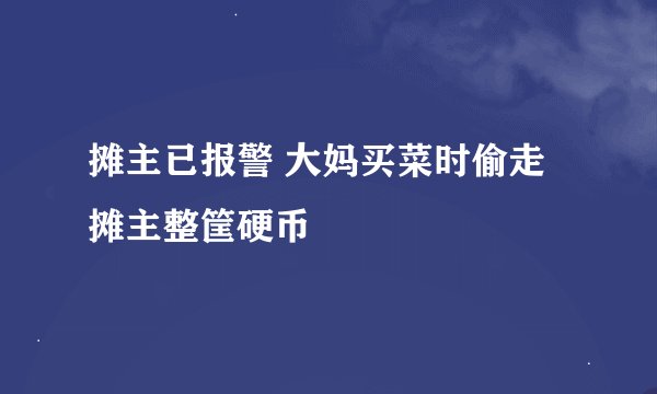 摊主已报警 大妈买菜时偷走摊主整筐硬币
