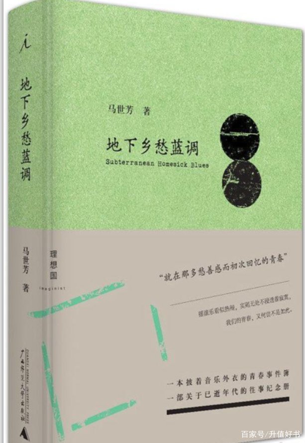 《地下乡愁蓝调》这部书，它的作者是谁？