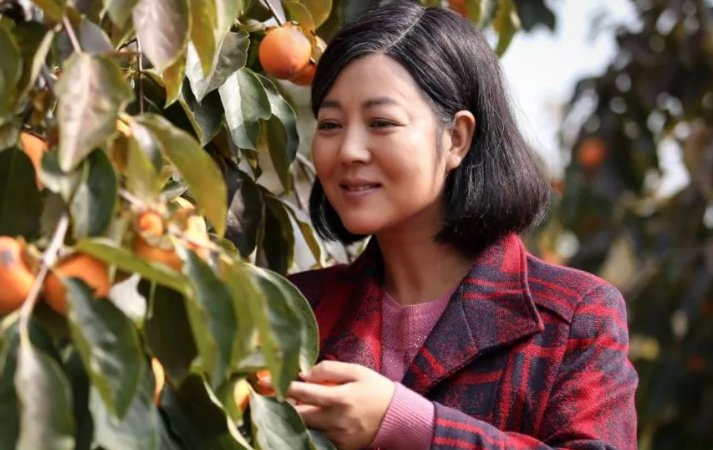 王长安杨柿红是什么电视