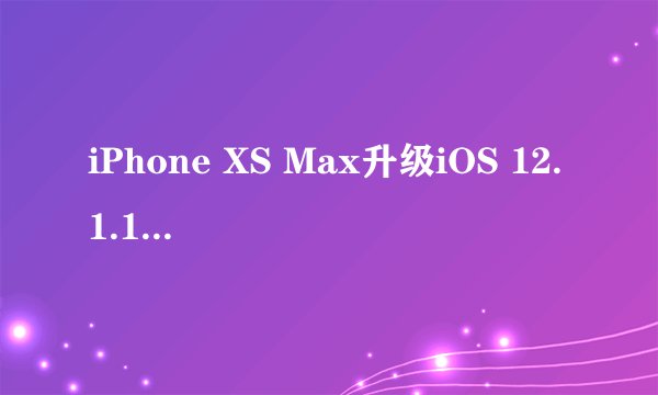 iPhone XS Max升级iOS 12.1.1正式版，信号有改进吗？