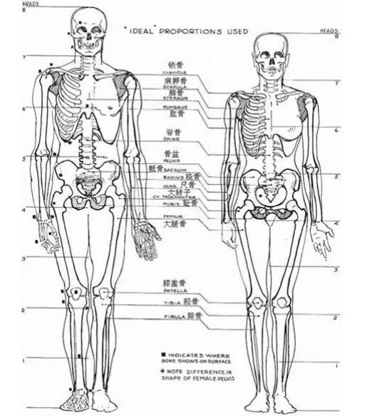 怎样认识正常人体结构学