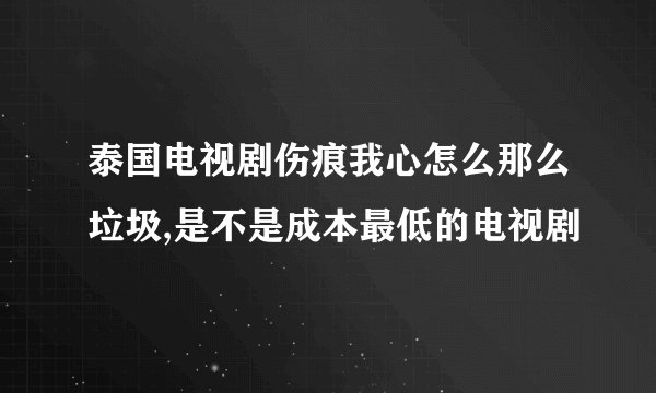 泰国电视剧伤痕我心怎么那么垃圾,是不是成本最低的电视剧