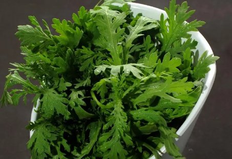 茼蒿产地主要在哪个省