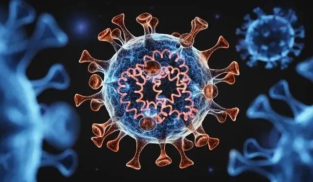 不同新冠毒株可能造成二次感染，新冠抗体保护期是多久？