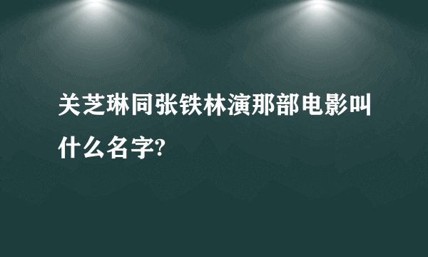关芝琳同张铁林演那部电影叫什么名字?