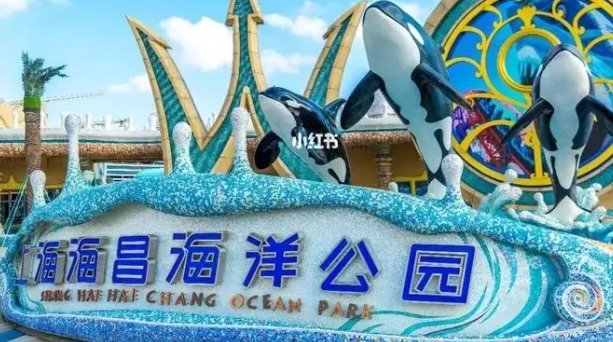上海海昌海洋公园将免费开放8天，为何会这么规定？