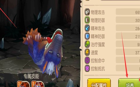 勇士的信仰宠物怎么升级