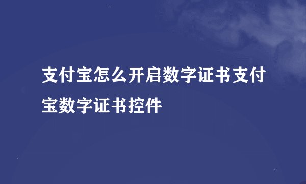 支付宝怎么开启数字证书支付宝数字证书控件