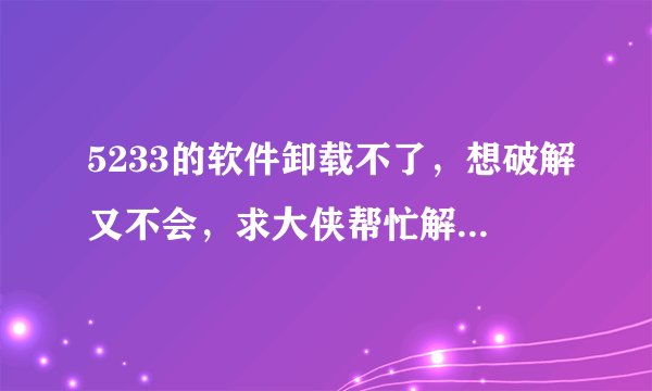 5233的软件卸载不了，想破解又不会，求大侠帮忙解决？？？
